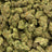 Animal Cocktail bulk THCA flower — Plain Jane 1 lb