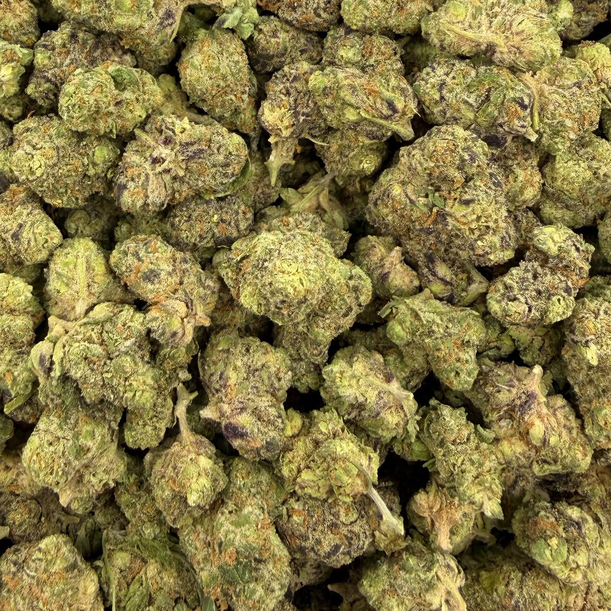 Animal Cocktail bulk THCA flower — Plain Jane 1 lb