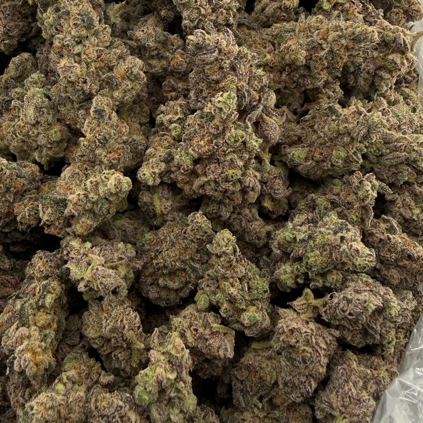 Animal Face bulk THCA flower — Plain Jane 1 lb