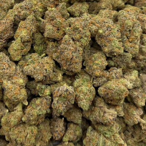 Animal Face bulk THCA flower — Plain Jane 1 lb