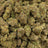Animal Face bulk THCA flower — Plain Jane 1 lb