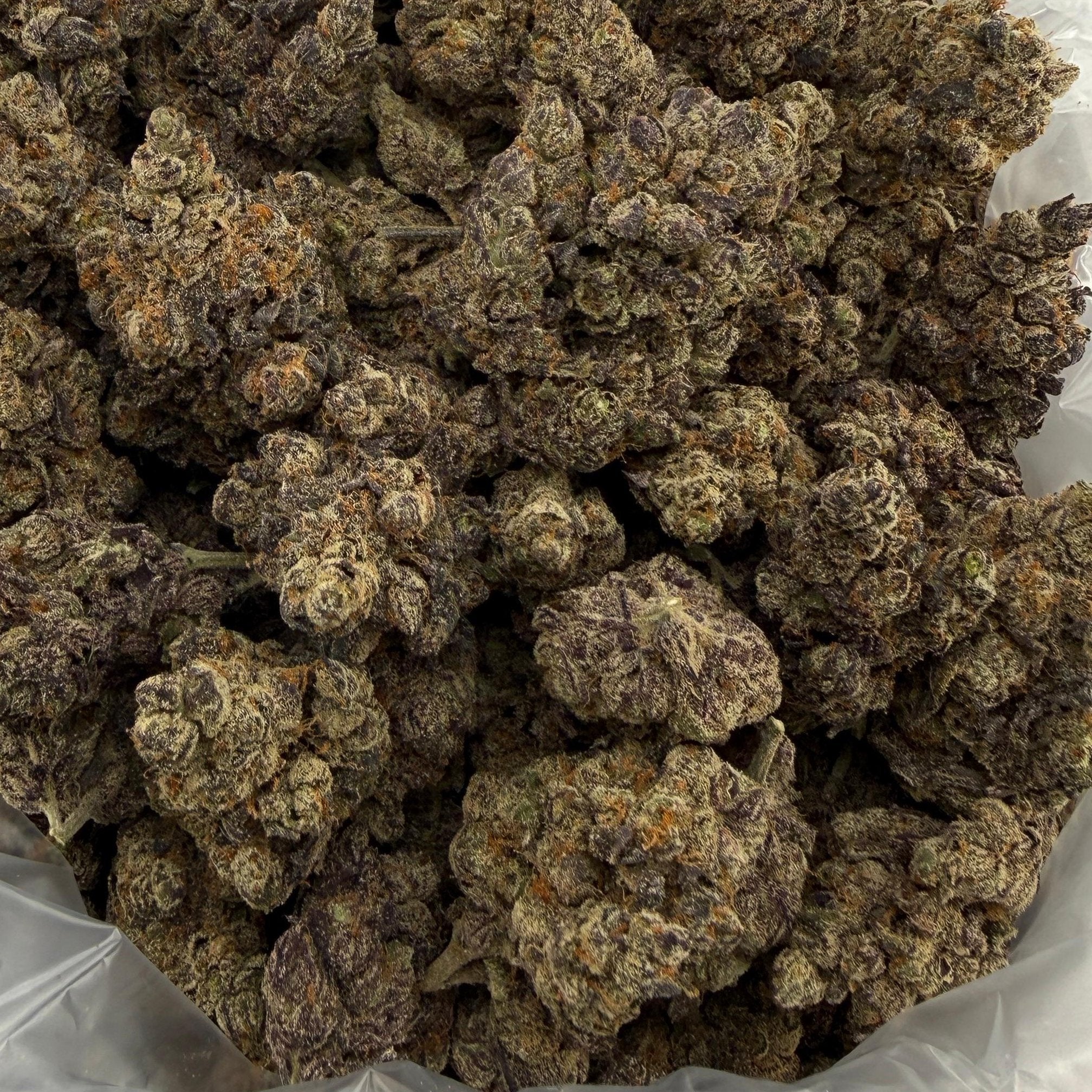 Animal Face bulk THCA flower — Plain Jane 1 lb