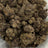 Animal Face bulk THCA flower — Plain Jane 1 lb