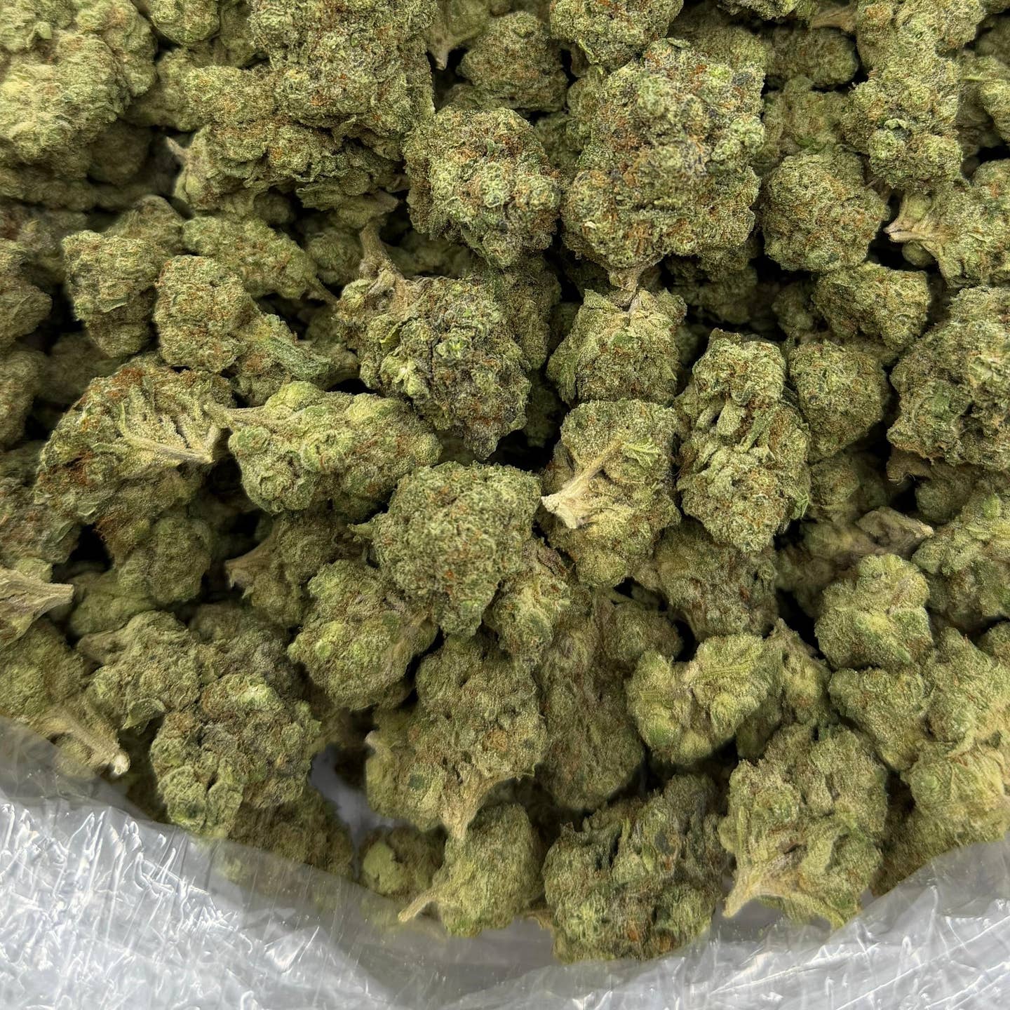 Animal Mintz bulk THCA flower — Plain Jane 1 lb