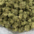 Animal Mintz bulk THCA flower — Plain Jane 1 lb