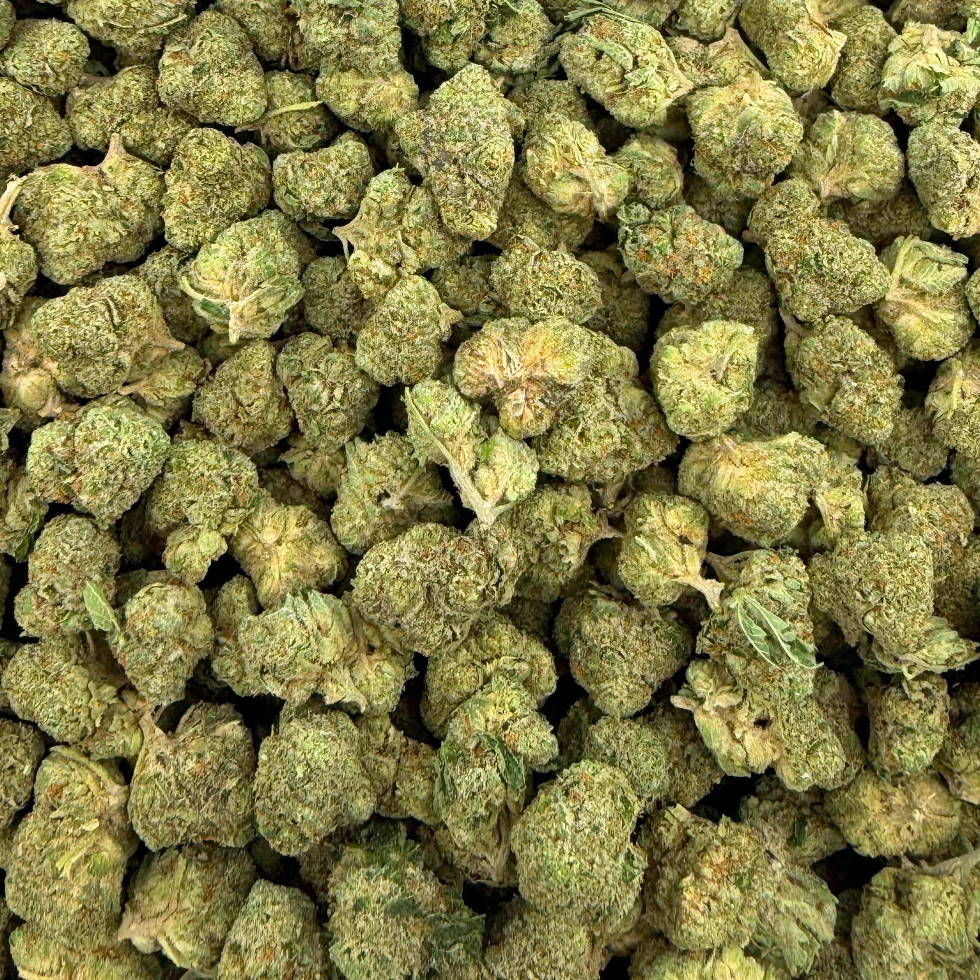 Animal Mintz bulk THCA flower — Plain Jane 1 lb
