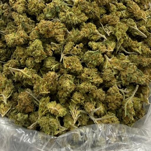 Apple Mac bulk THCA flower — Plain Jane 1 lb