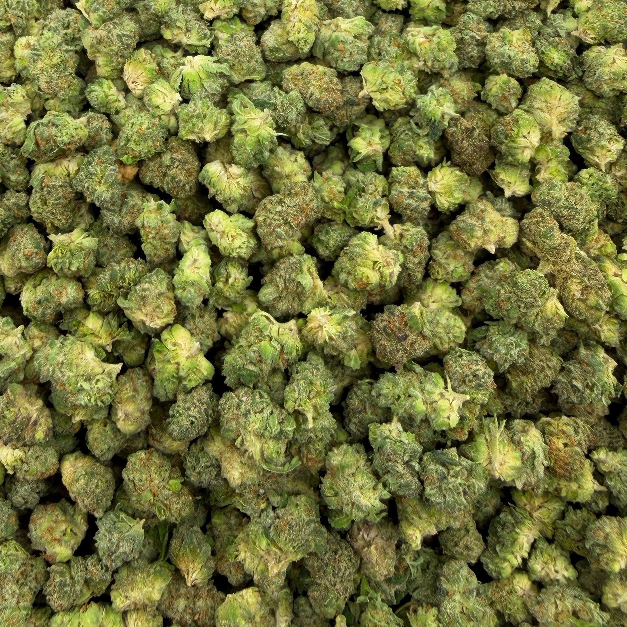 Apple Tartz bulk THCA flower — Plain Jane 1 lb