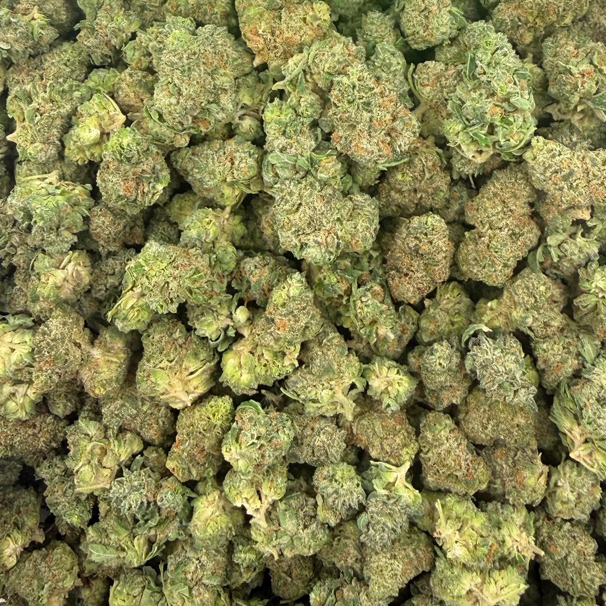 Apple Tartz bulk THCA flower — Plain Jane 1 lb