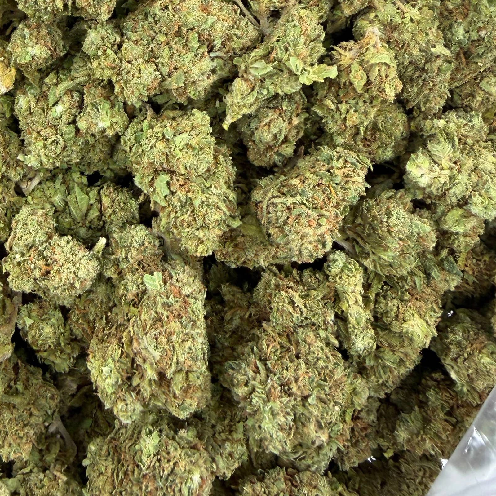 Archive Candy bulk THCA flower — Plain Jane 1 lb