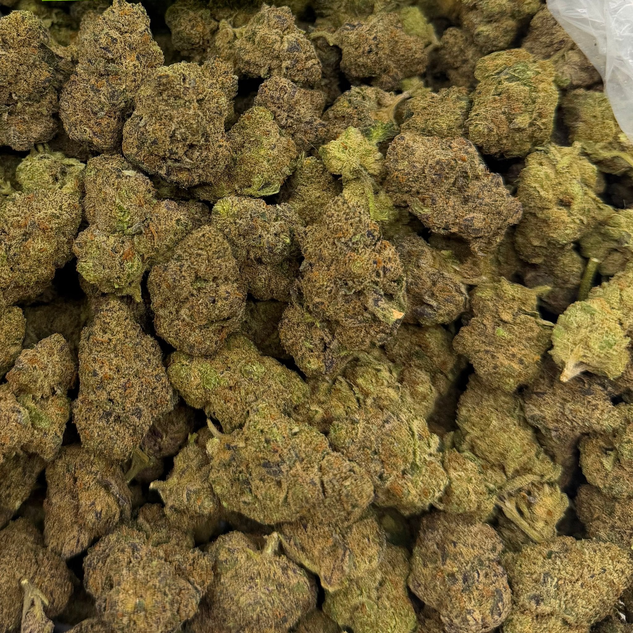 Artic Runtz bulk THCA flower — Plain Jane 1 lb