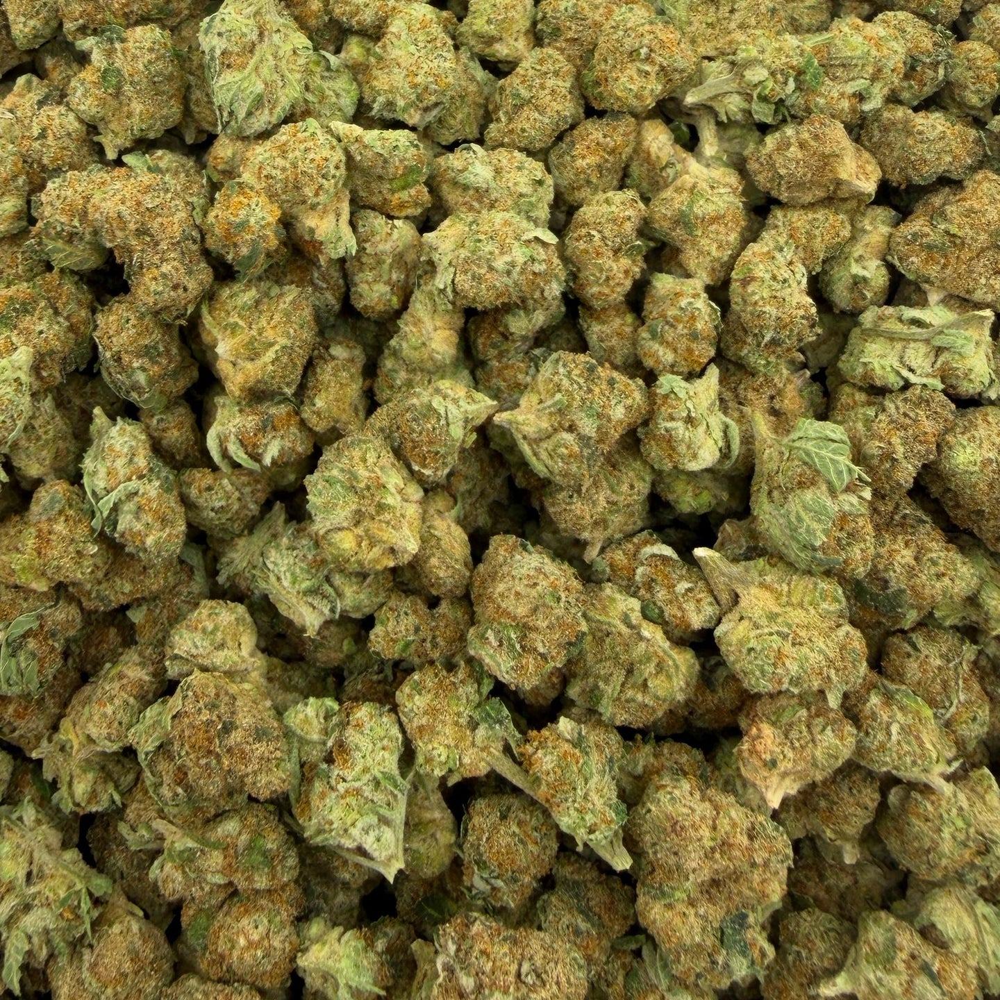Artificial Candy bulk THCA flower — Plain Jane 1 lb