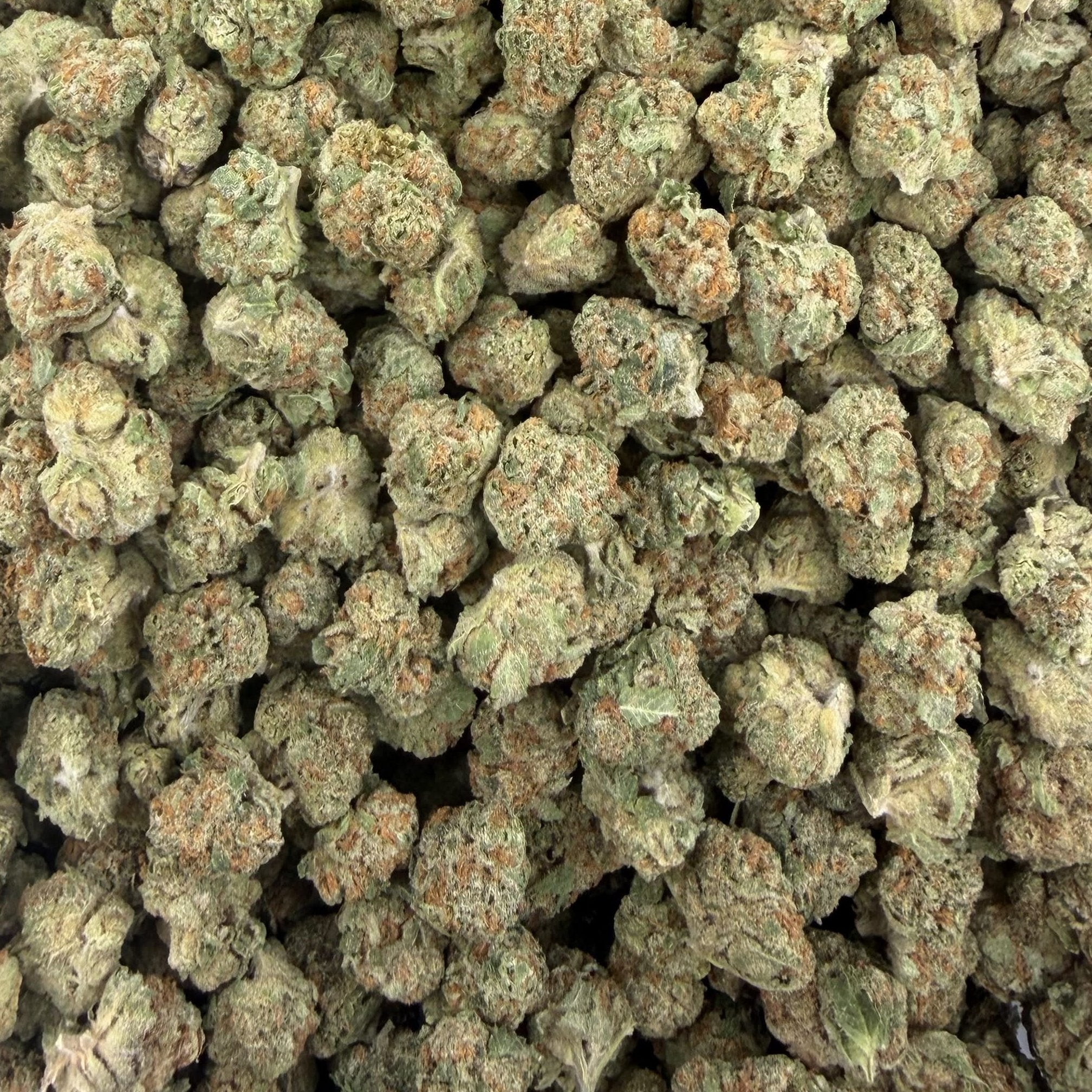 Artificial Candy bulk THCA flower — Plain Jane 1 lb