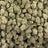 Artificial Candy bulk THCA flower — Plain Jane 1 lb