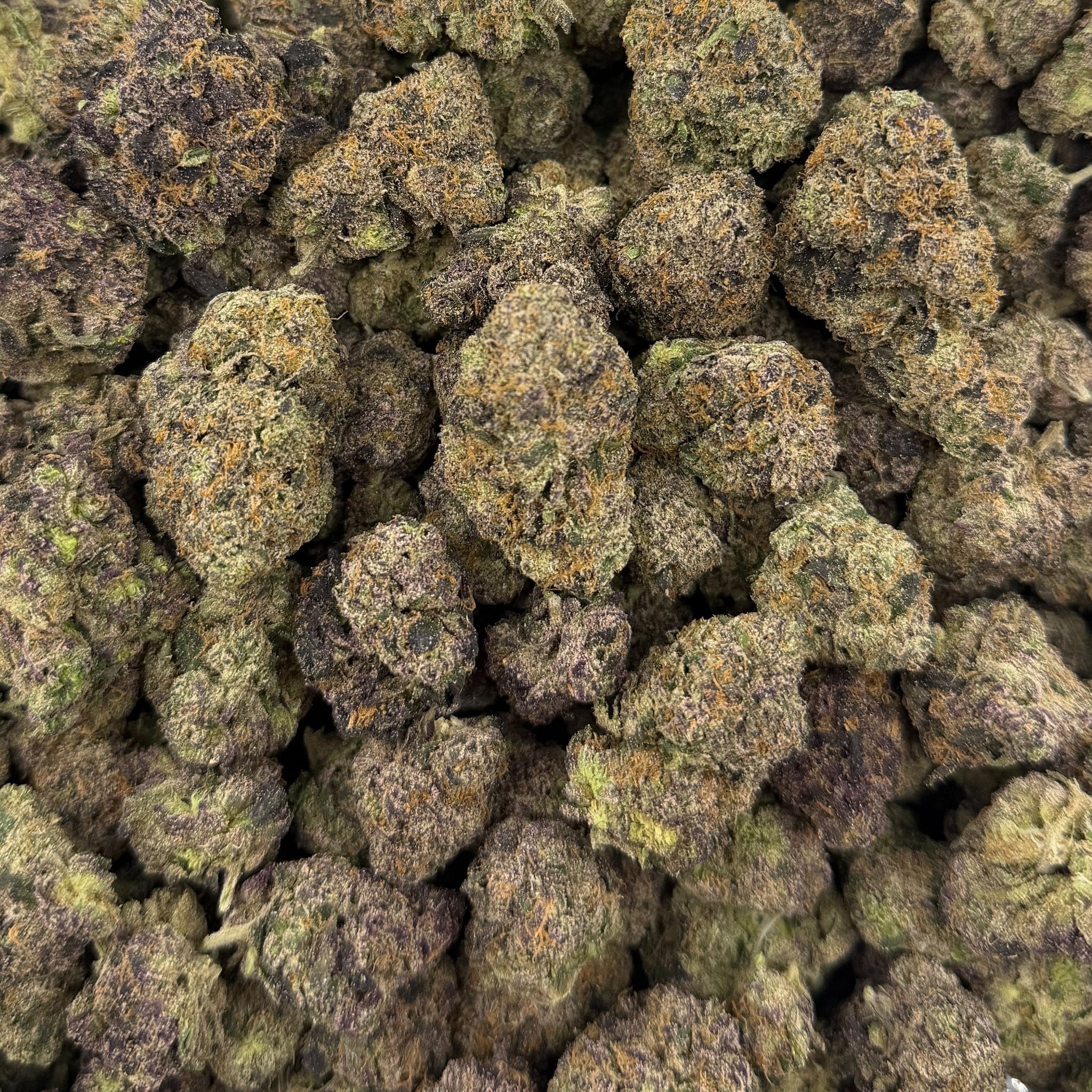 Astro Candy bulk THCA flower — Plain Jane 1 lb