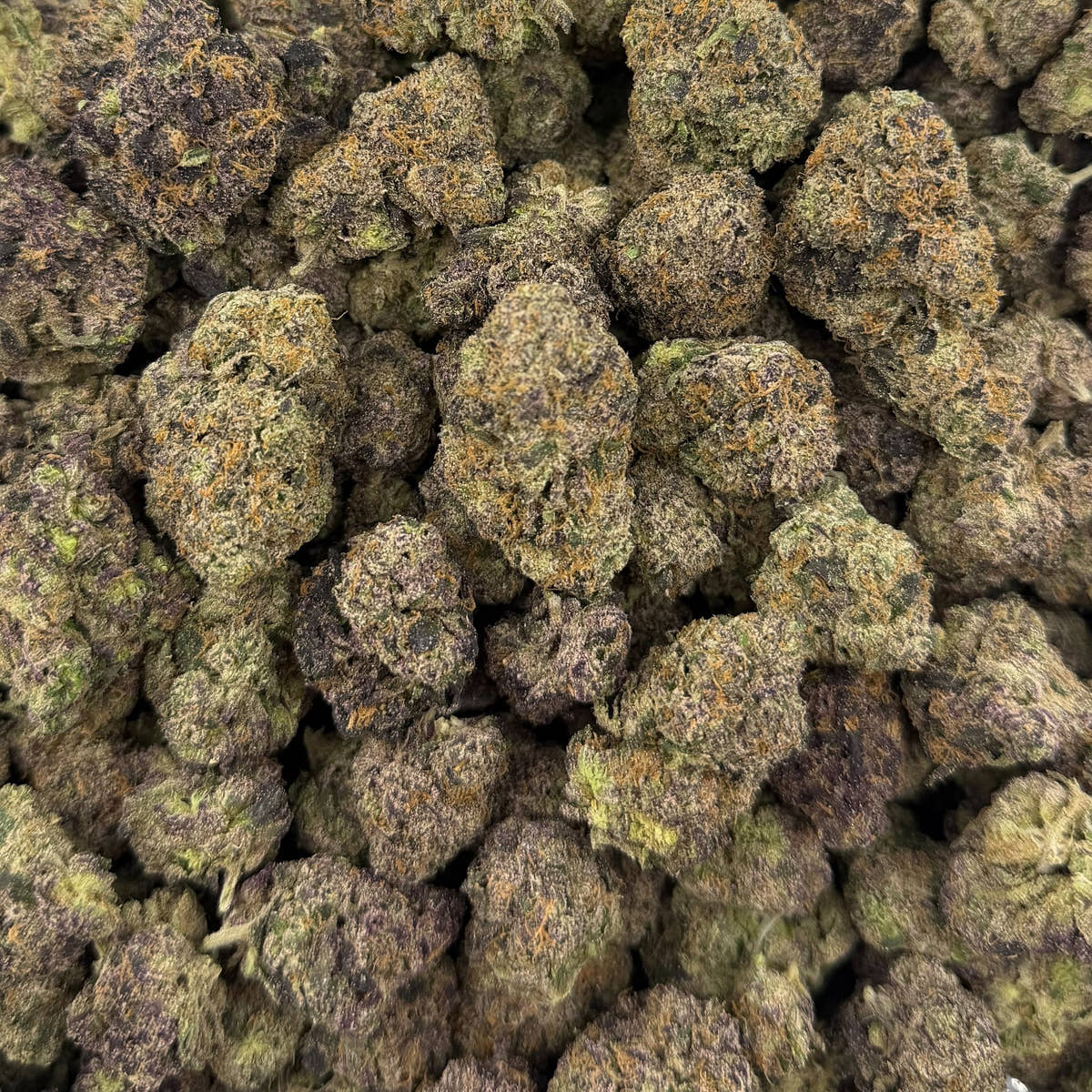 Astro Candy bulk THCA flower — Plain Jane 1 lb