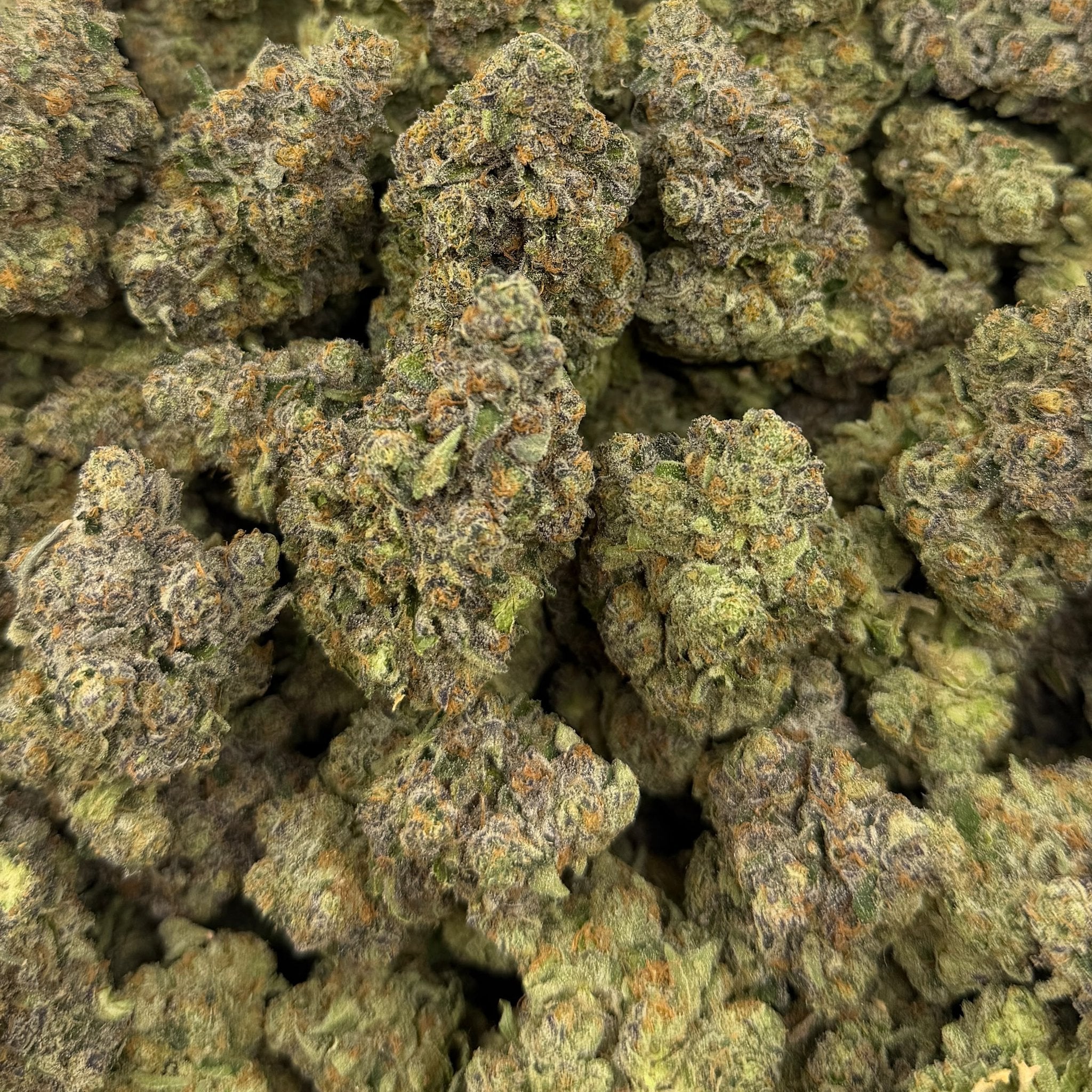 Atomic Belts bulk THCA flower — Plain Jane 1 lb