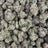 Atomic Belts bulk THCA flower — Plain Jane 1 lb