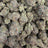 Austrian Gold bulk THCA flower — Plain Jane 1 lb