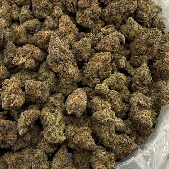 Baja Blastroids bulk THCA flower — Plain Jane 1 lb