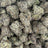 Baja Blastroids bulk THCA flower — Plain Jane 1 lb