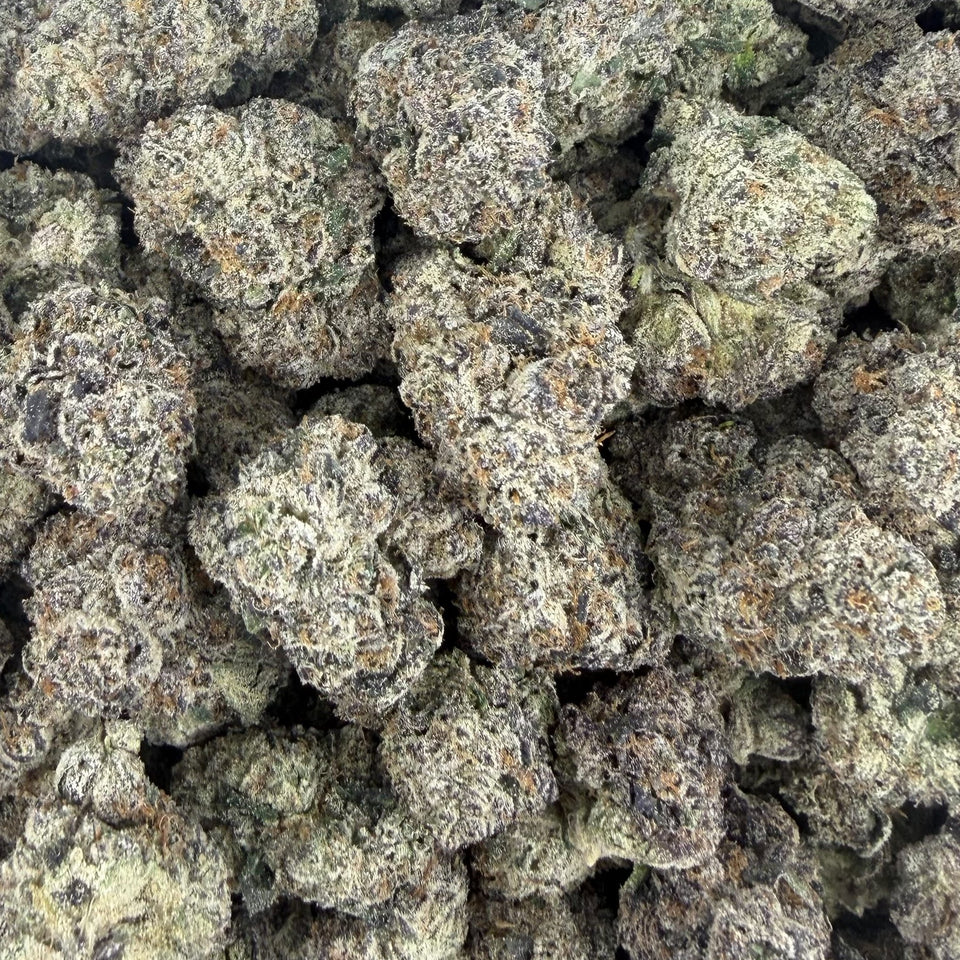 Baja Blastroids (Boutique Exotic) – Bulk THCA Flower 1 lb