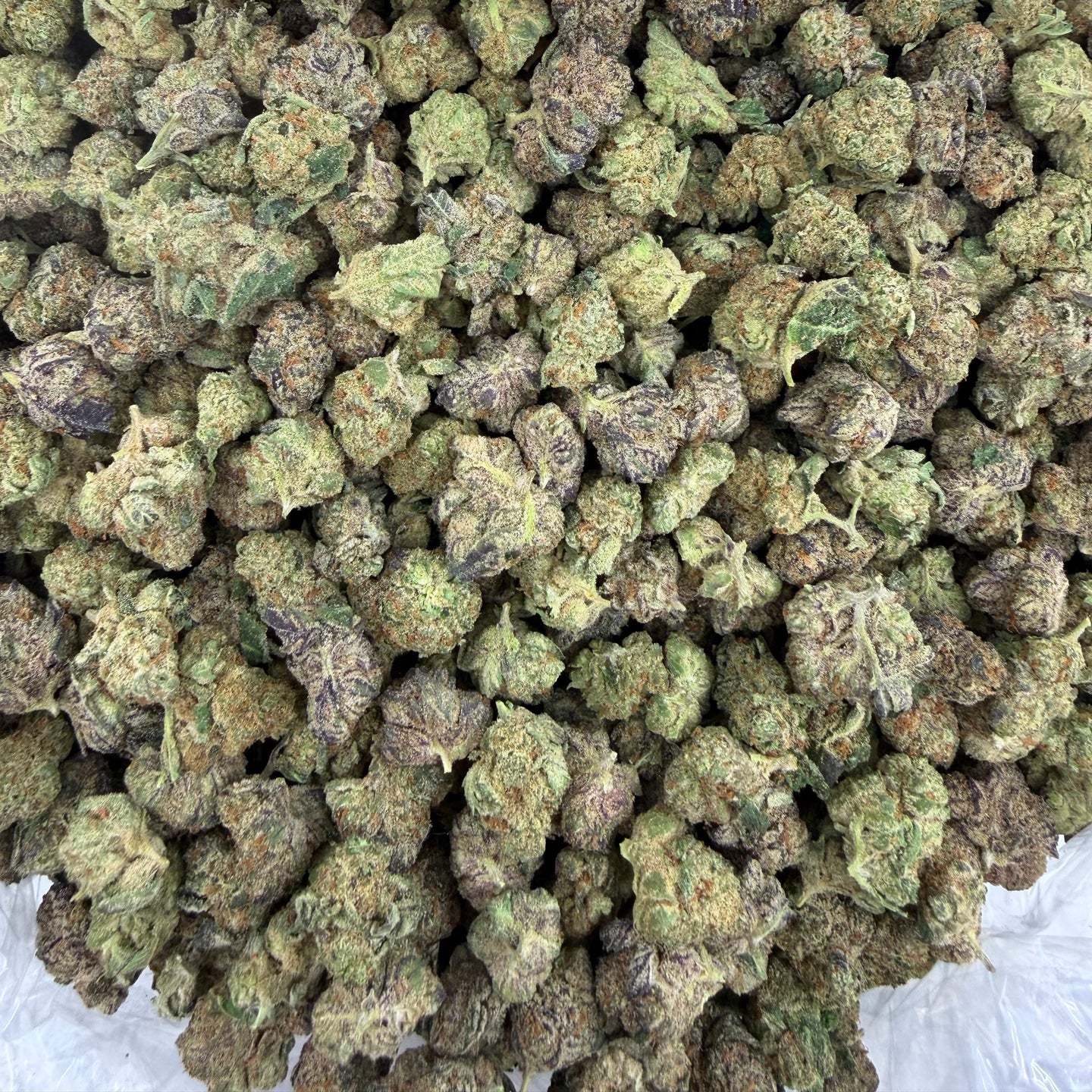 Banana Taffy bulk THCA flower — Plain Jane 1 lb