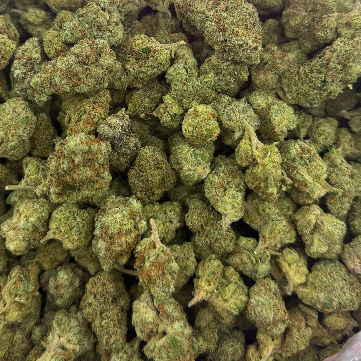 Banana Taffy bulk THCA flower — Plain Jane 1 lb