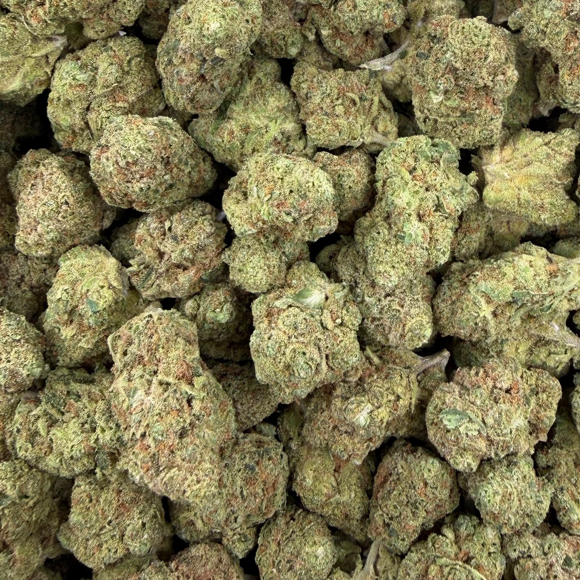Banjo bulk THCA flower — Plain Jane 1 lb