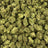 Banjo bulk THCA flower — Plain Jane 1 lb