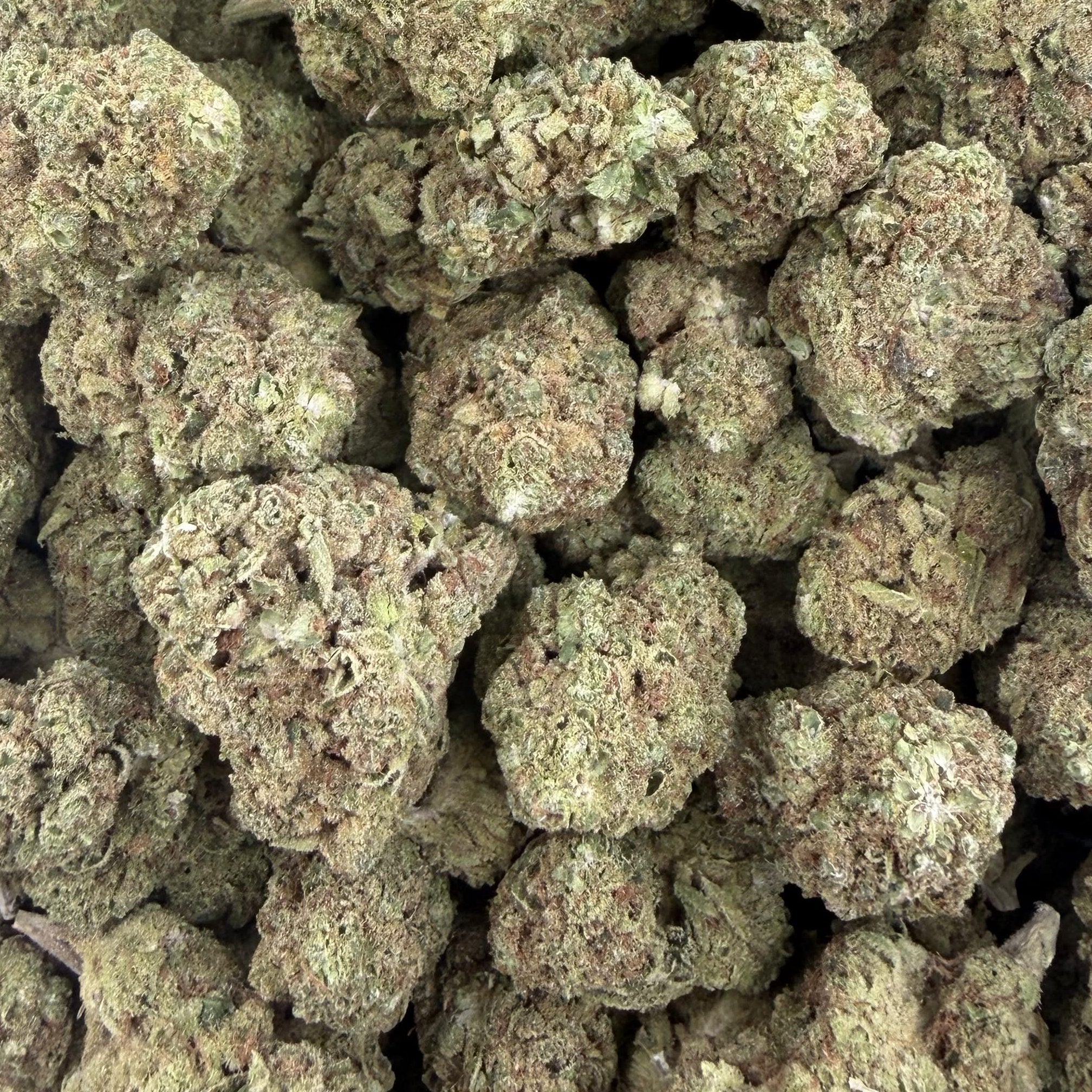Banjo bulk THCA flower — Plain Jane 1 lb