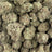 Banjo bulk THCA flower — Plain Jane 1 lb