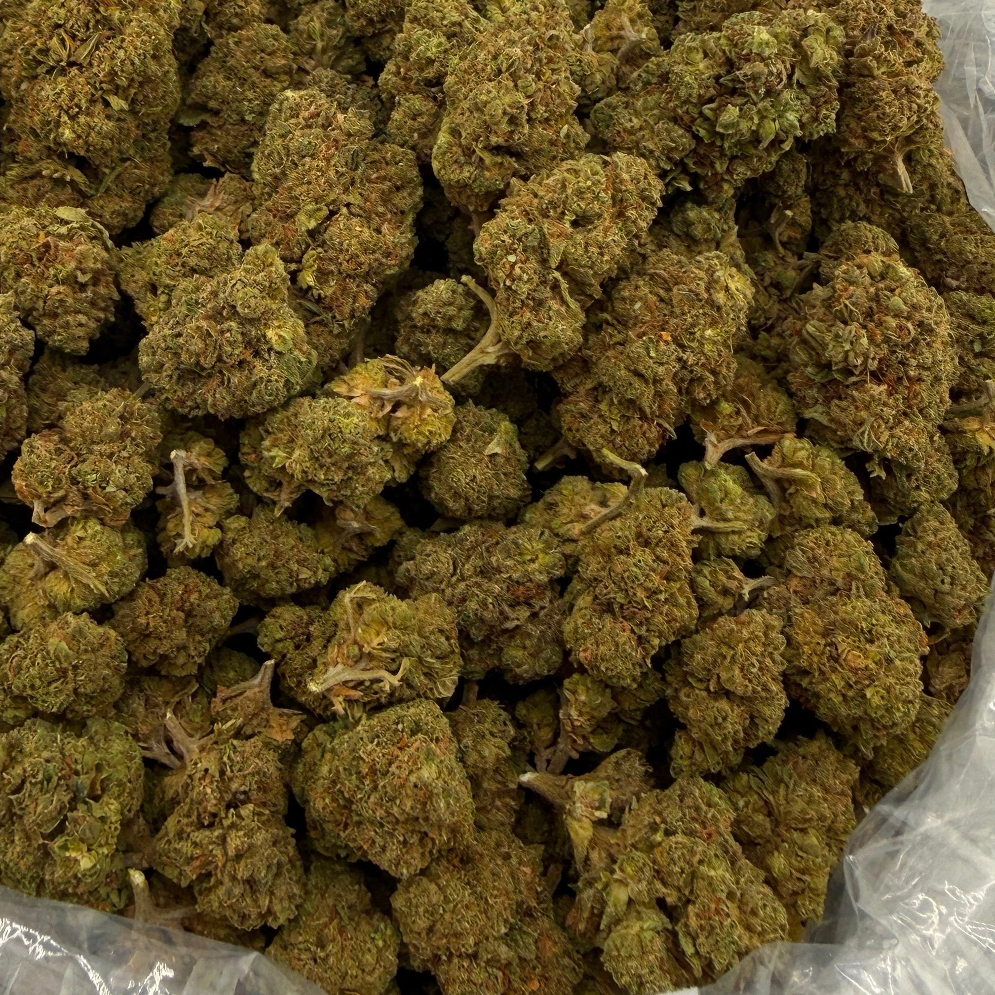 Bath Saltz bulk THCA flower — Plain Jane 1 lb