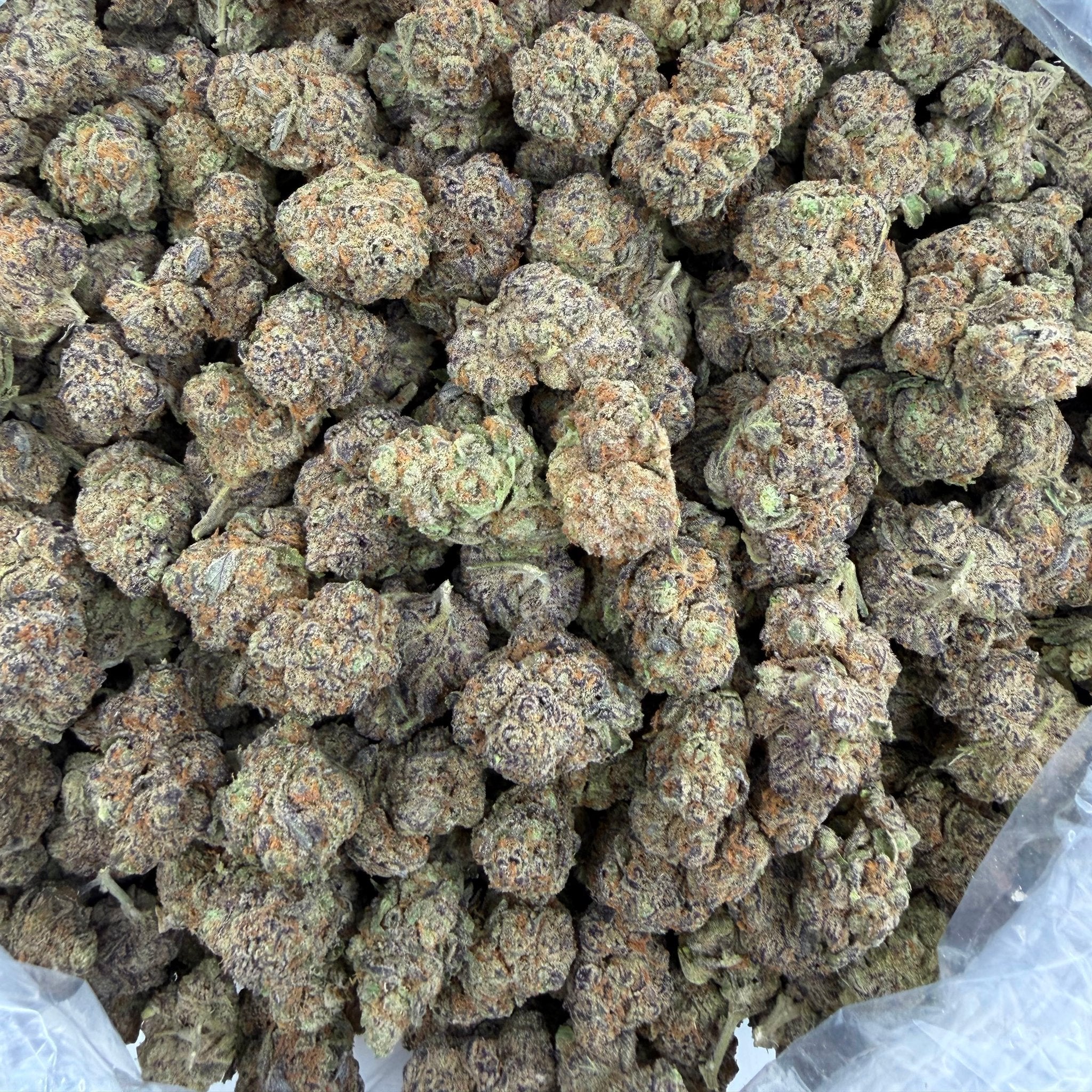 BBP bulk THCA flower — Plain Jane 1 lb