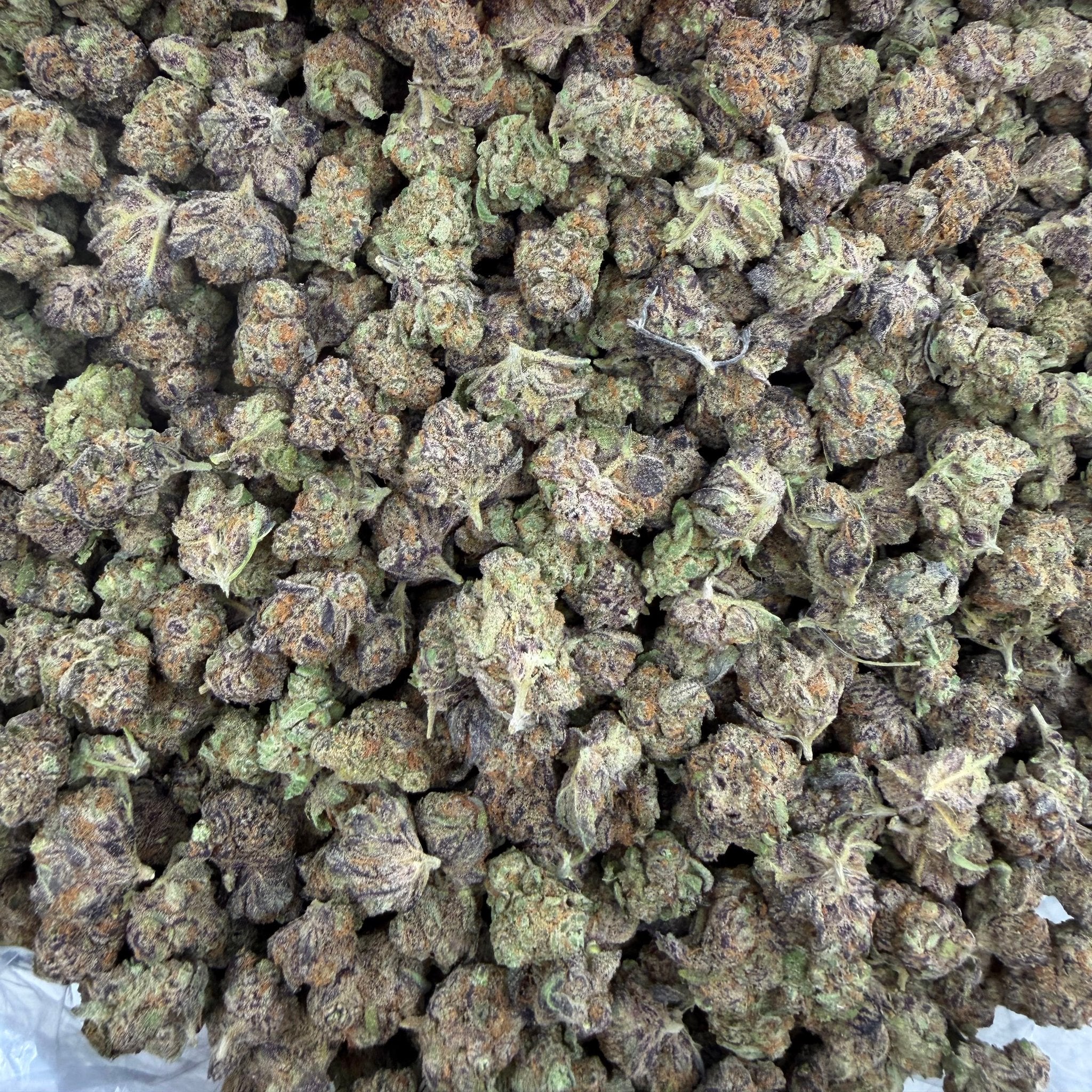 BBP bulk THCA flower — Plain Jane 1 lb