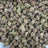 BBP bulk THCA flower — Plain Jane 1 lb