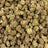BBP bulk THCA flower — Plain Jane 1 lb