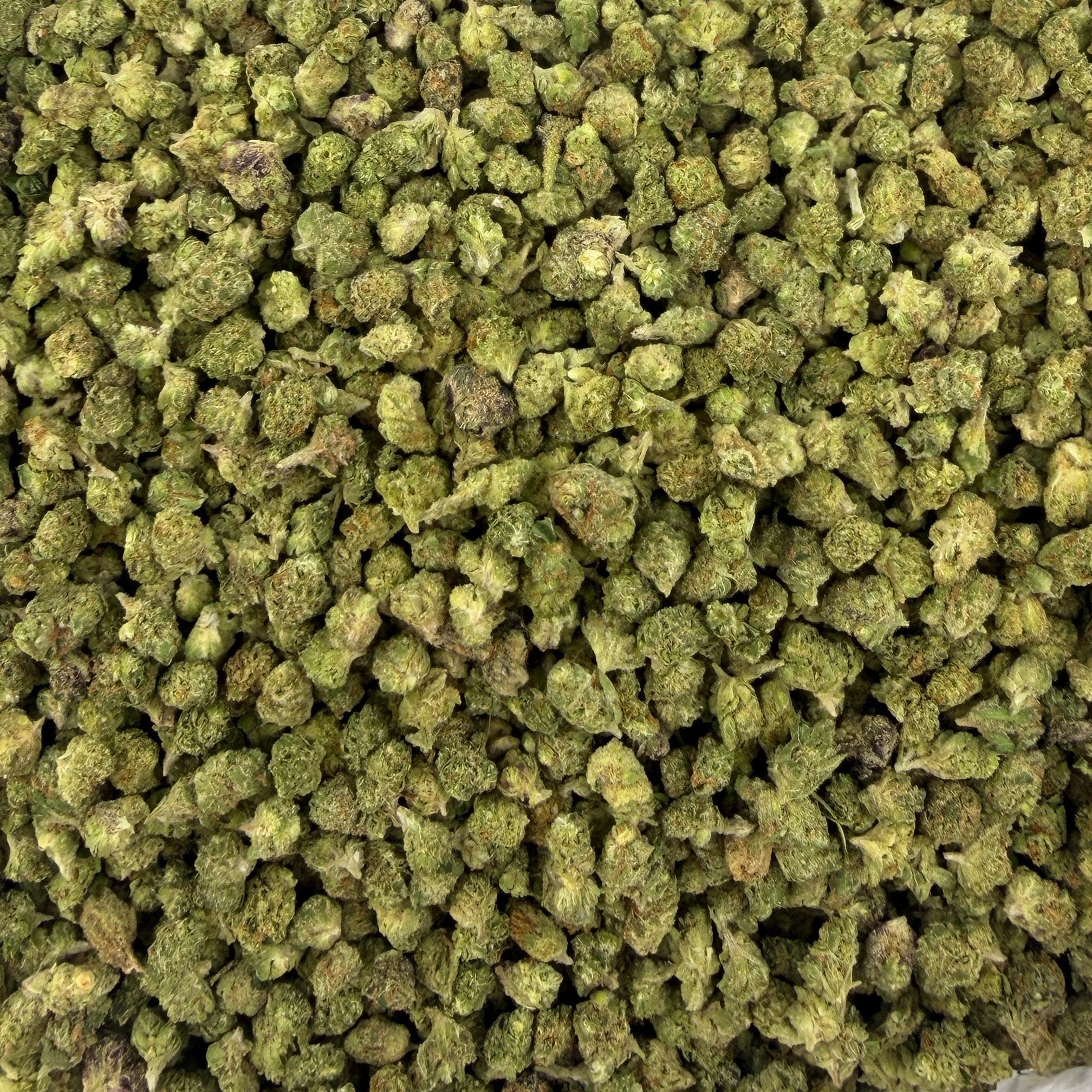 BBP M bulk THCA flower — Plain Jane 1 lb