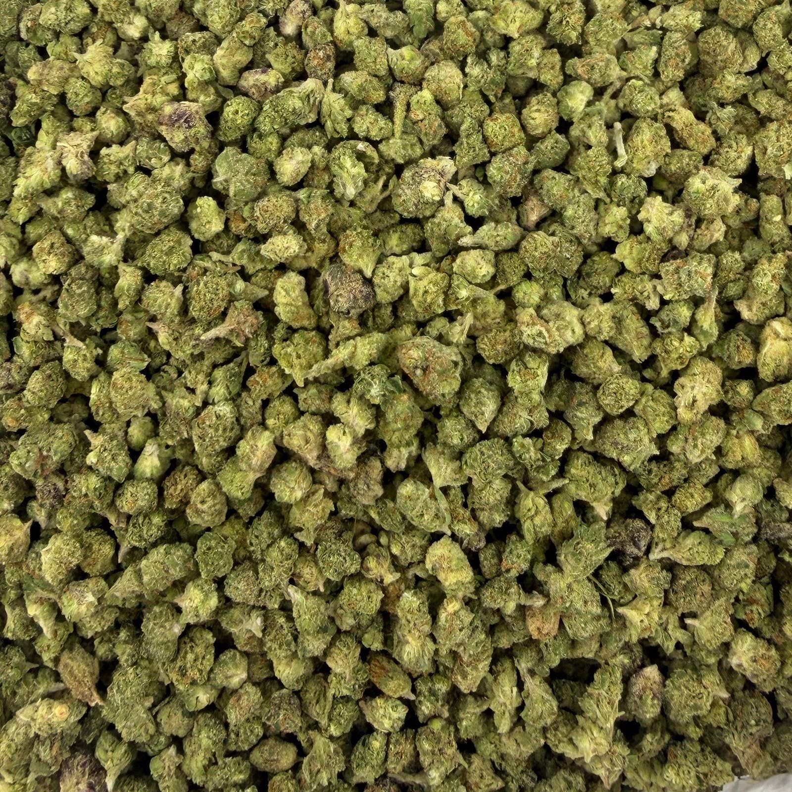 BBP M bulk THCA flower — Plain Jane 1 lb