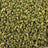 BBP M bulk THCA flower — Plain Jane 1 lb