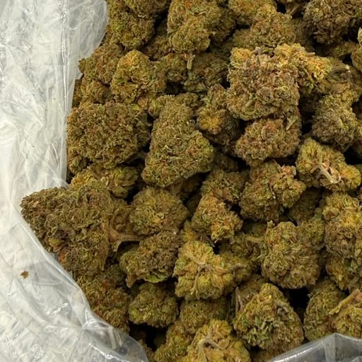 Beach Wedding bulk THCA flower — Plain Jane 1 lb