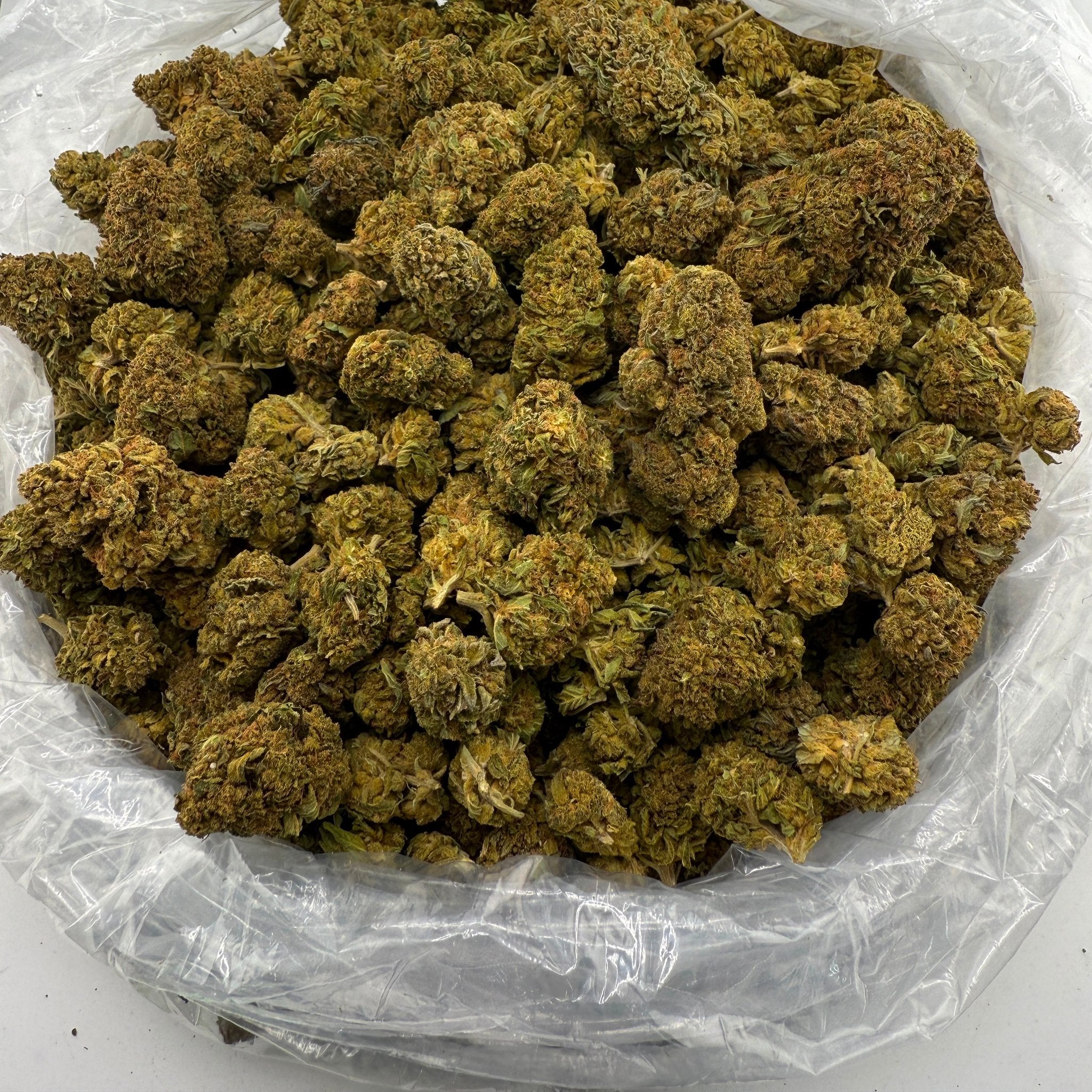 Berry Blender bulk THCA flower — Plain Jane 1 lb