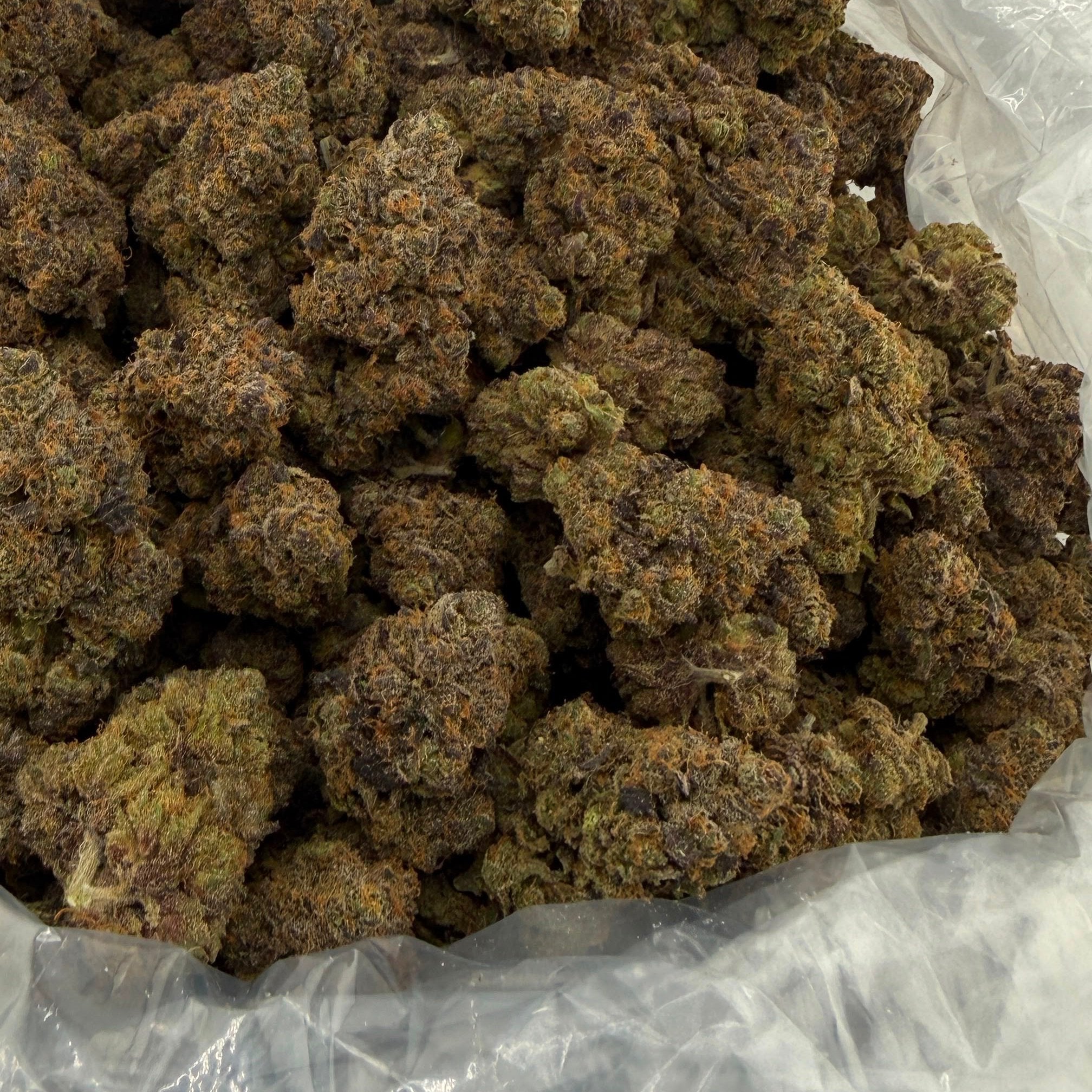 Berry Blender bulk THCA flower — Plain Jane 1 lb