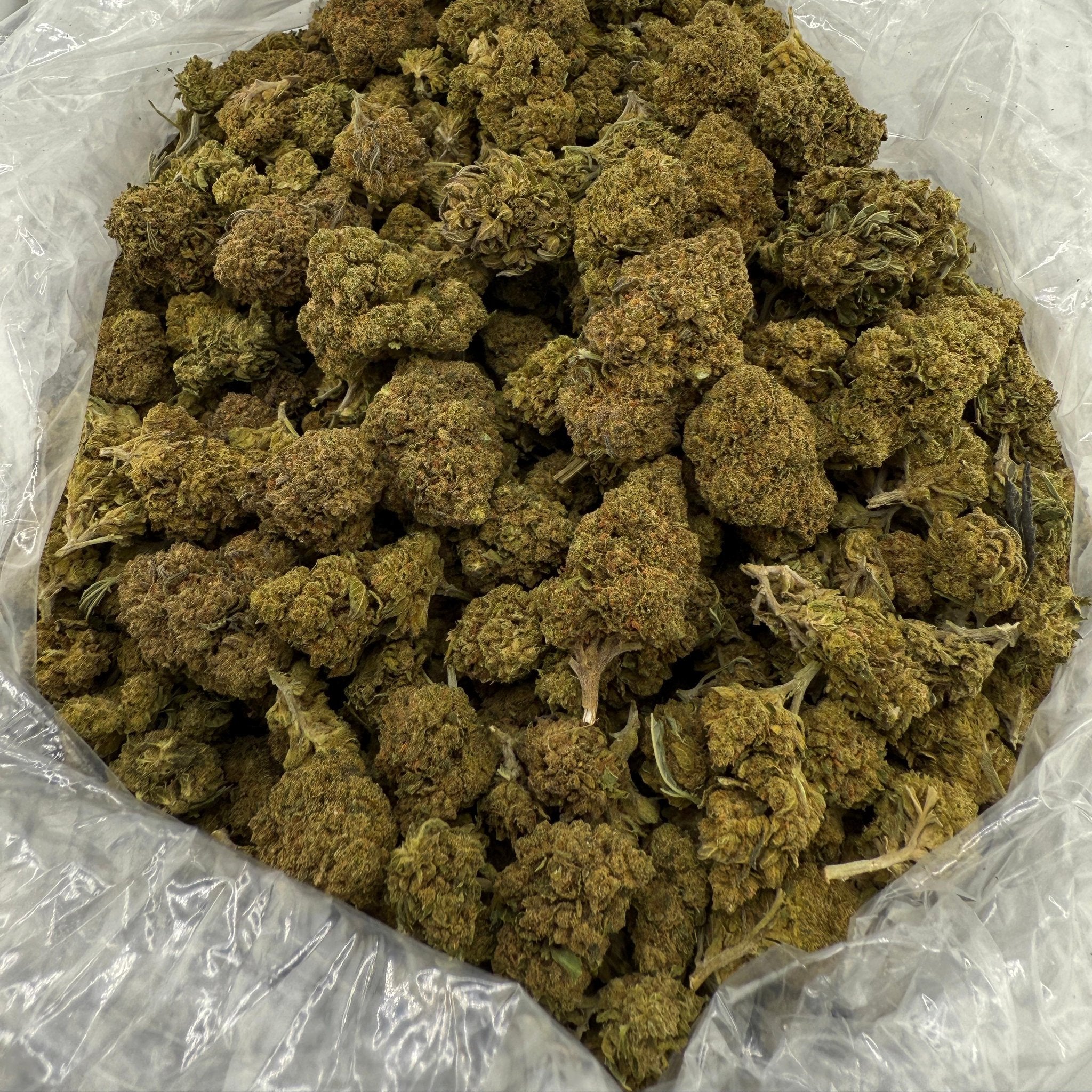 Berry Cake bulk THCA flower — Plain Jane 1 lb