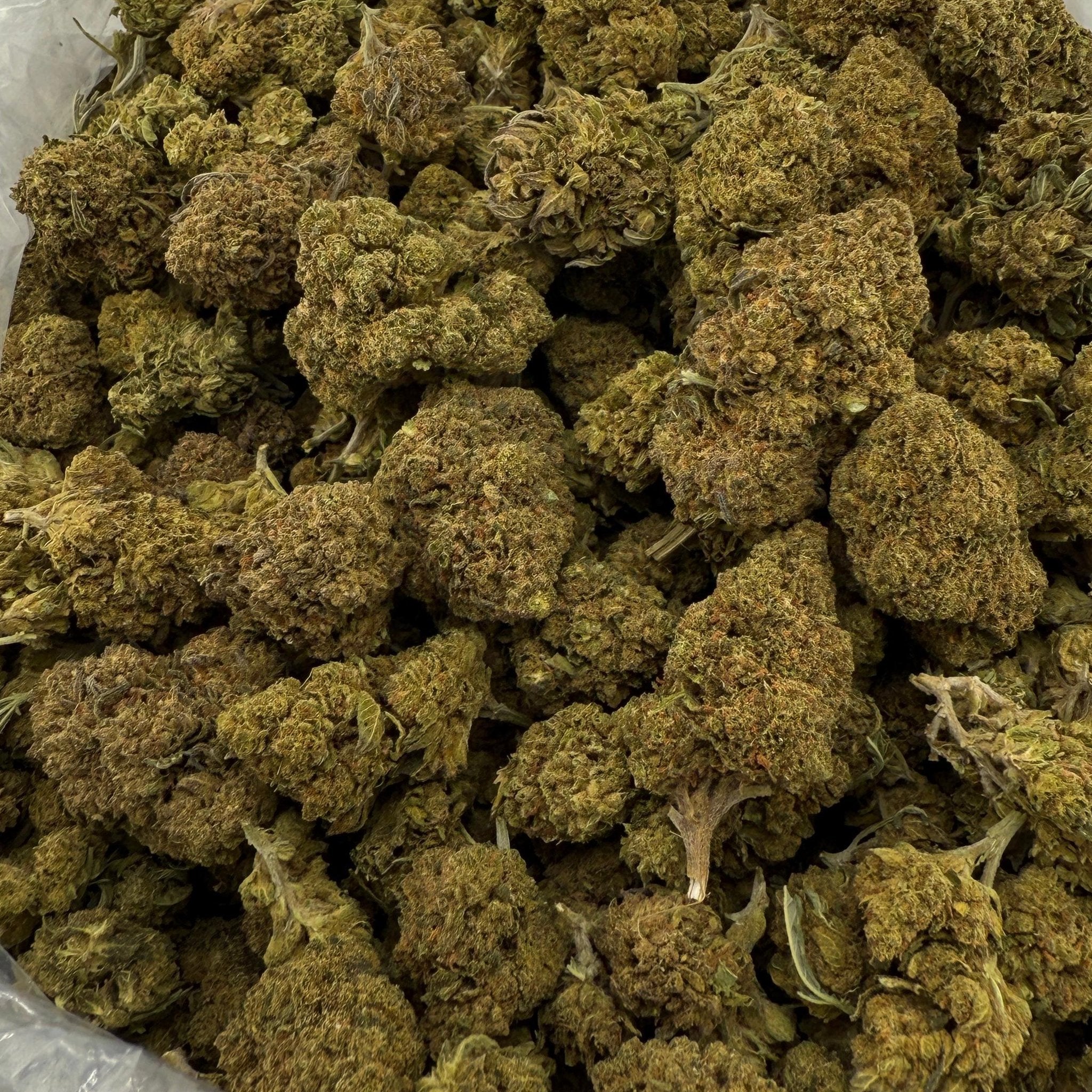 Berry Cake bulk THCA flower — Plain Jane 1 lb