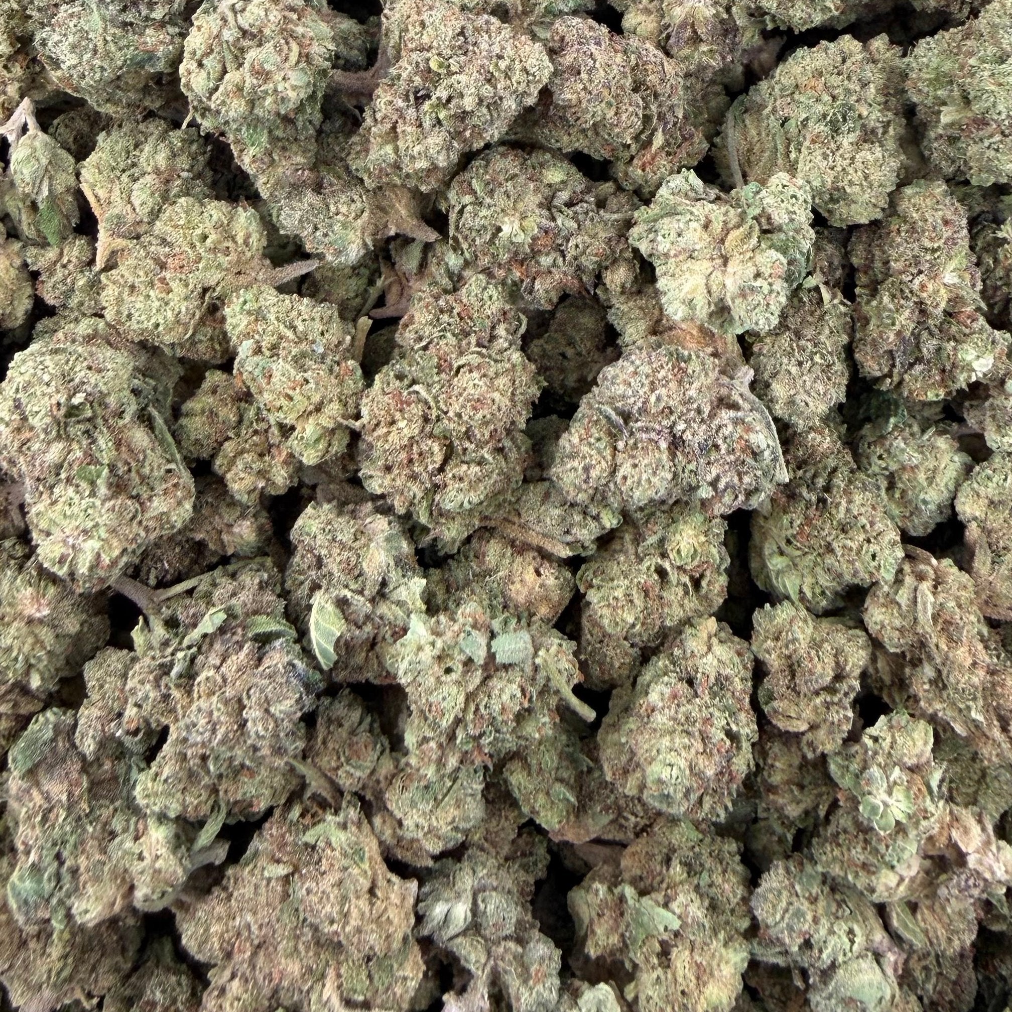 Berry Cake bulk THCA flower — Plain Jane 1 lb