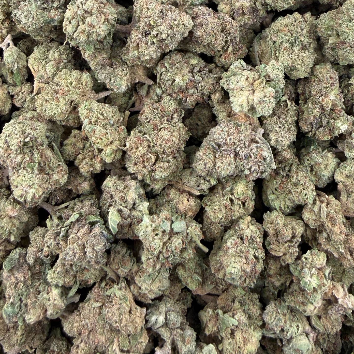 Berry Cake bulk THCA flower — Plain Jane 1 lb