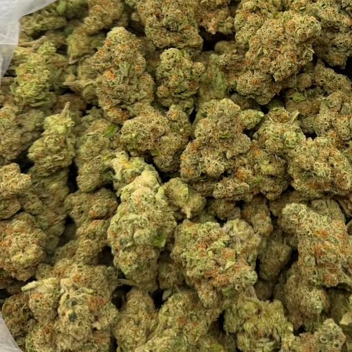 Berry White bulk THCA flower — Plain Jane 1 lb