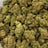 Berry White bulk THCA flower — Plain Jane 1 lb