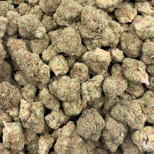 Berry White bulk THCA flower — Plain Jane 1 lb